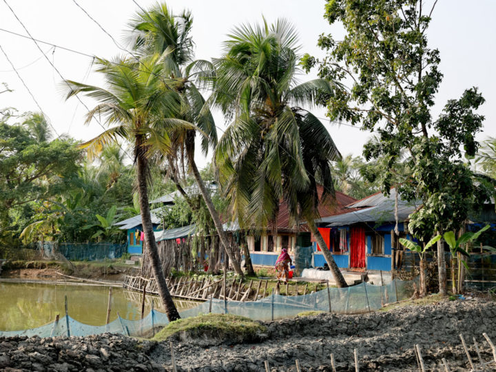 Ett hus i Bangladesh är placerad intill ett vattendrag. Runt vattendraget finns det träd. Huset är blått och har en röd dörr.