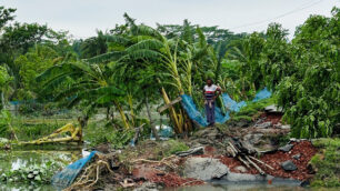 Översvämning i Bangladesh. Vatten, skog och raserat hus.