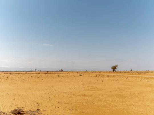 Torrt landskap i Kenya