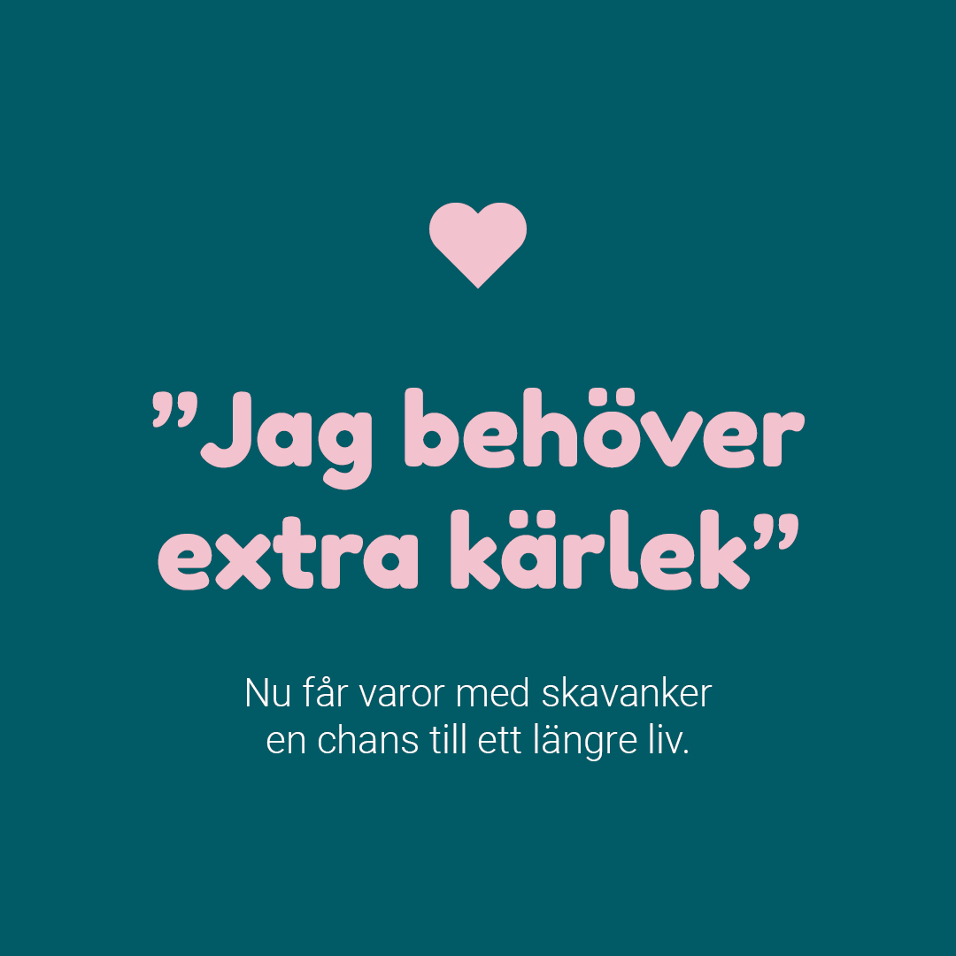 Nu får varor med skavanker en chans till ett längre liv.